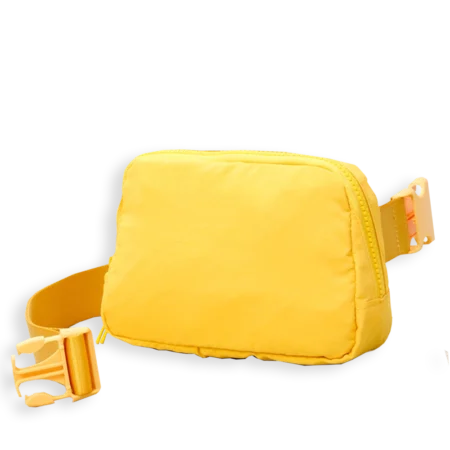 Everywhere Belt Bag