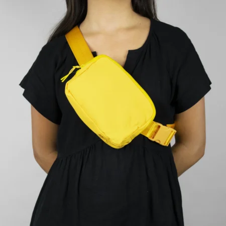 Everywhere Belt Bag