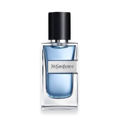 Y by by YSL