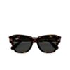 State Street Polished Brown Tortoise with Dark Grey sunglass front image