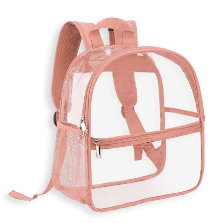 Transparent Backpack