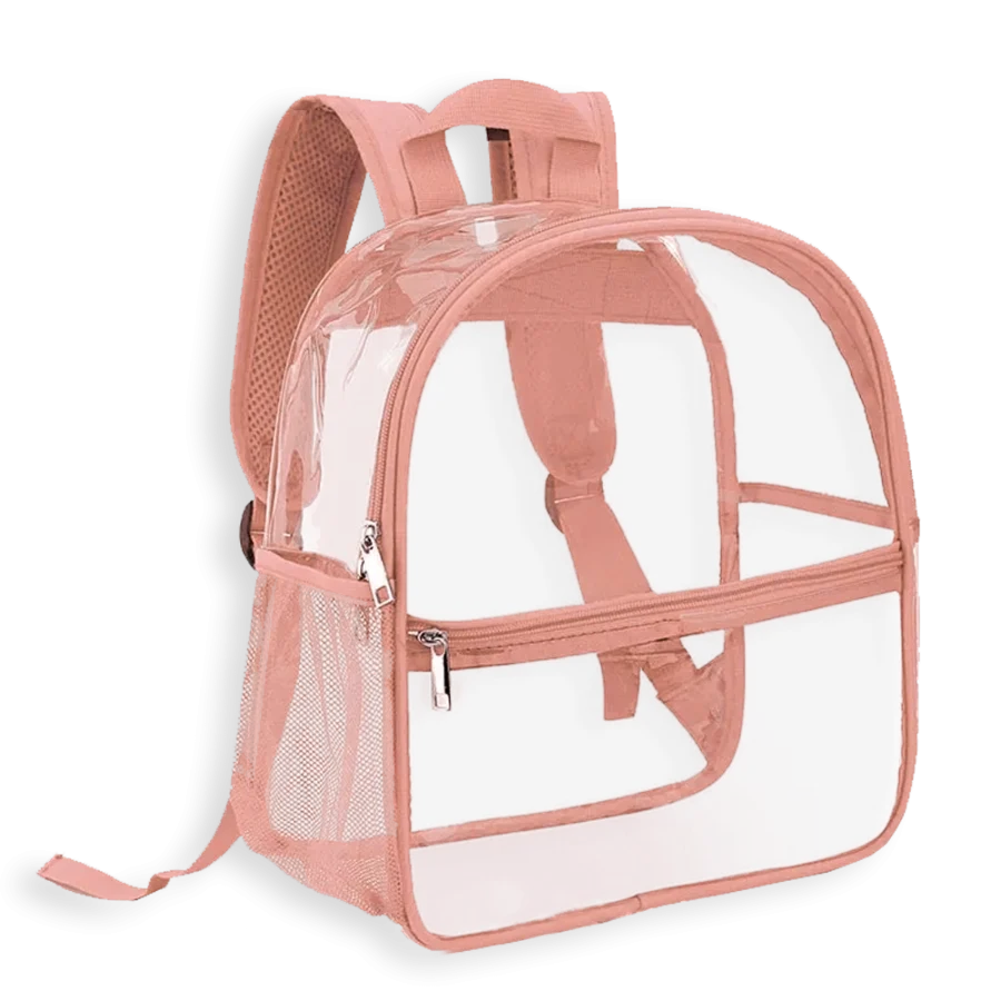 Transparent Backpack