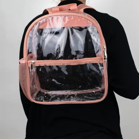 Transparent Backpack