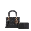 2pc Small Quilted Bag With Card Holder