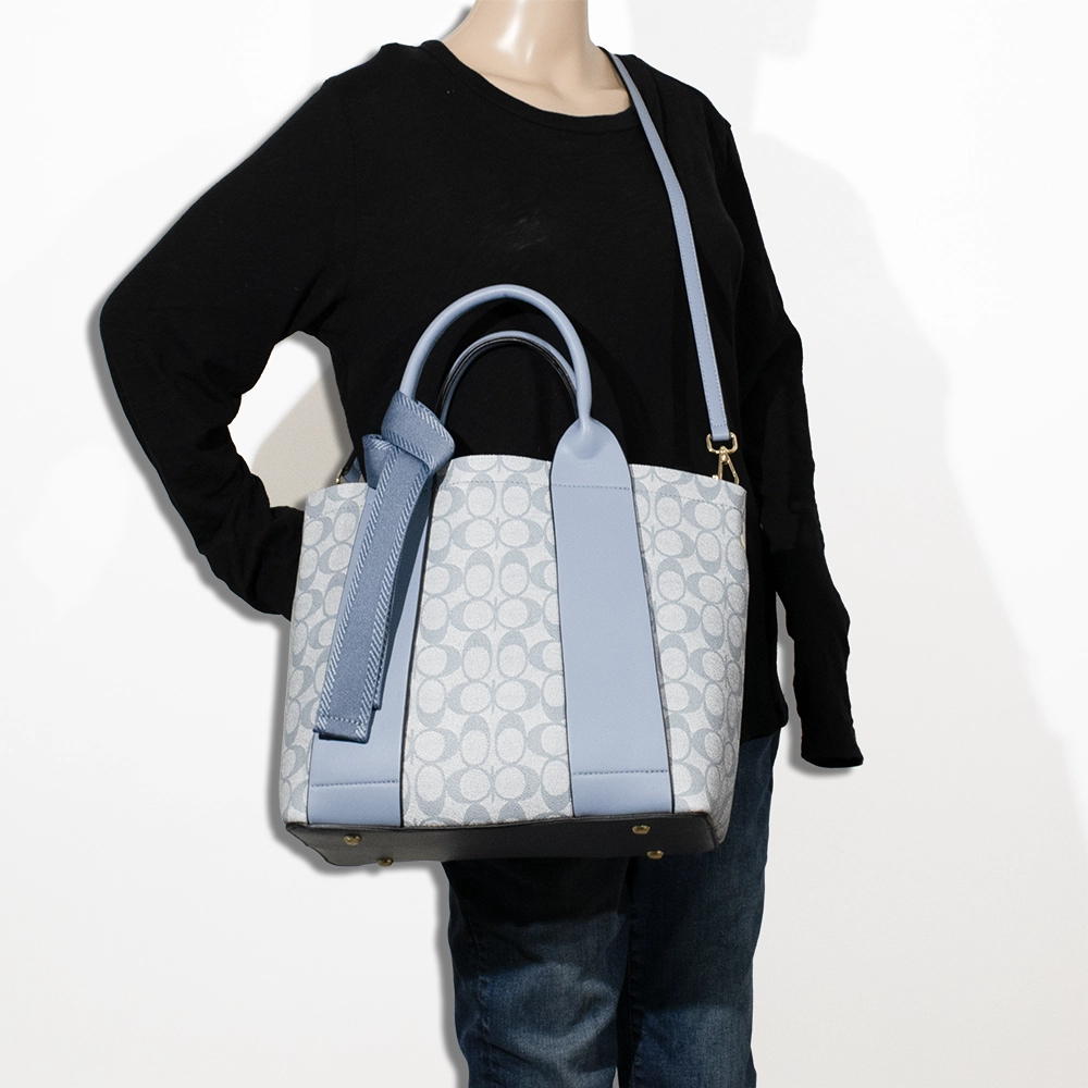 3pc Half Moon Double Stripe Bag with Wallet & Crossbody