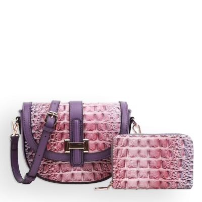2pc 2 Tone Crossbody with Wallet