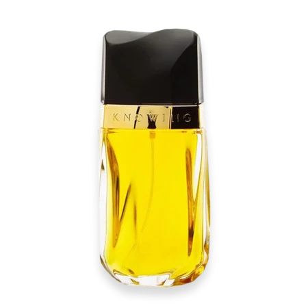 Knowing by Estee Lauder