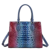 2 Tone Croc Bag
